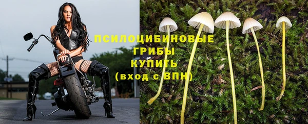 спайс Киселёвск