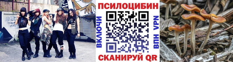 Галлюциногенные грибы Magic Shrooms  Сосногорск 